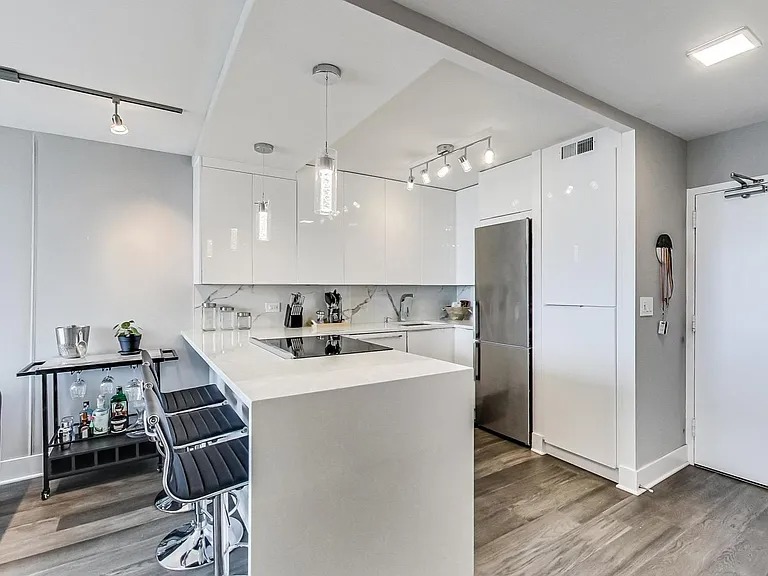 Beautifully updated and modern 1 Bedroom/1 Bath condo (1355 N Sandburg Ter Chicago, IL 60610 )
