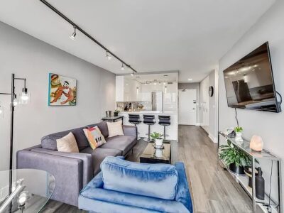Beautifully updated and modern 1 Bedroom/1 Bath condo (1355 N Sandburg Ter Chicago, IL 60610 )