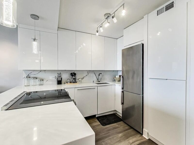 Beautifully updated and modern 1 Bedroom/1 Bath condo (1355 N Sandburg Ter Chicago, IL 60610 )