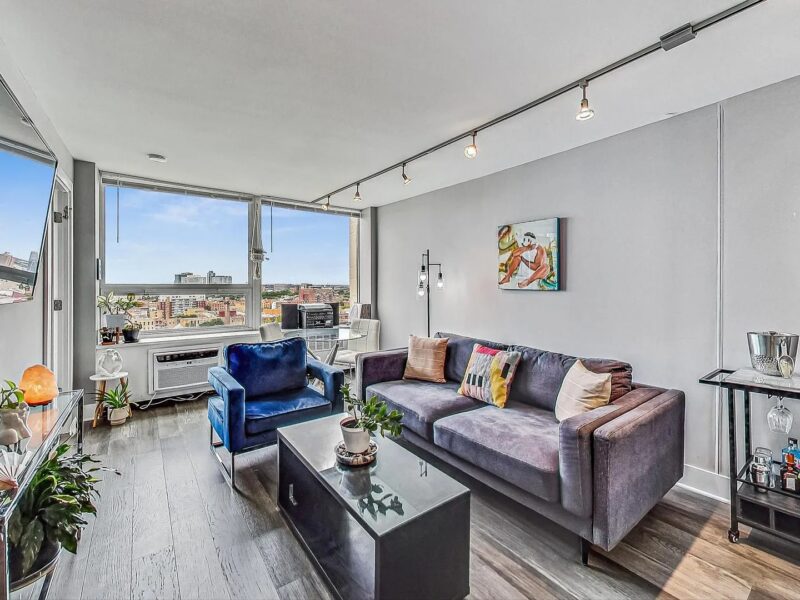Beautifully updated and modern 1 Bedroom/1 Bath condo (1355 N Sandburg Ter Chicago, IL 60610 )