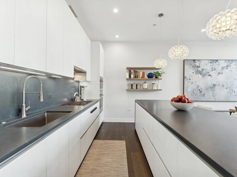 Exceptionally designed 2 bedroom 2.5 bath home (Chicago, IL 60654 )