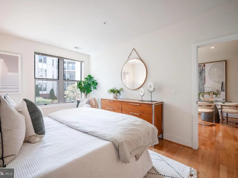 Beautiful one-bedroom condo in Arlington VA