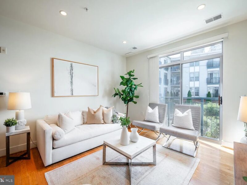 Beautiful one-bedroom condo in Arlington VA