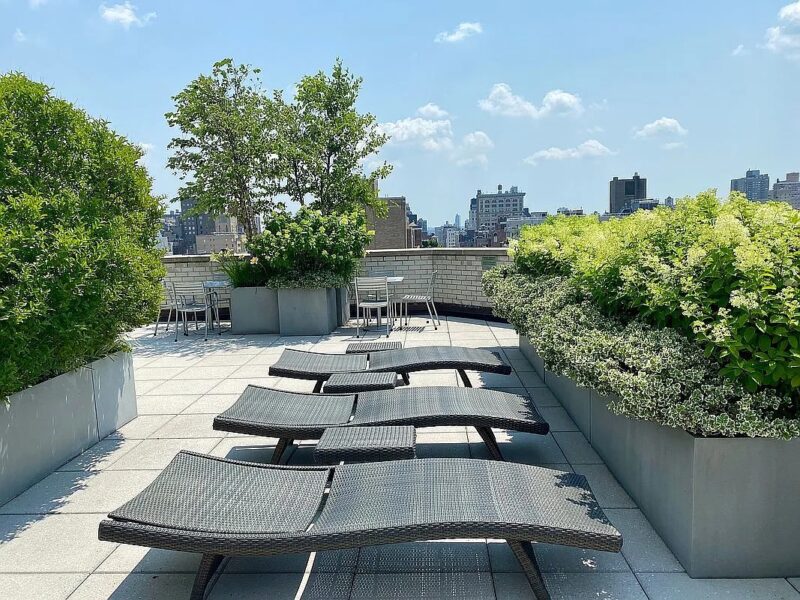 Sun drenched spacious 1-bedroom apartment n New York