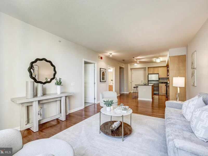 Beautiful 1 bedroom condo in Washington DC