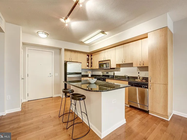 Beautiful 1 bedroom condo in Washington DC