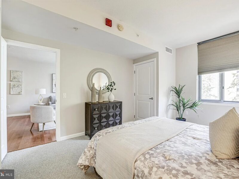 Beautiful 1 bedroom condo in Washington DC