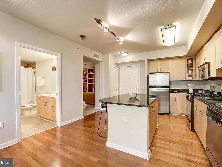 Beautiful 1 bedroom condo in Washington DC