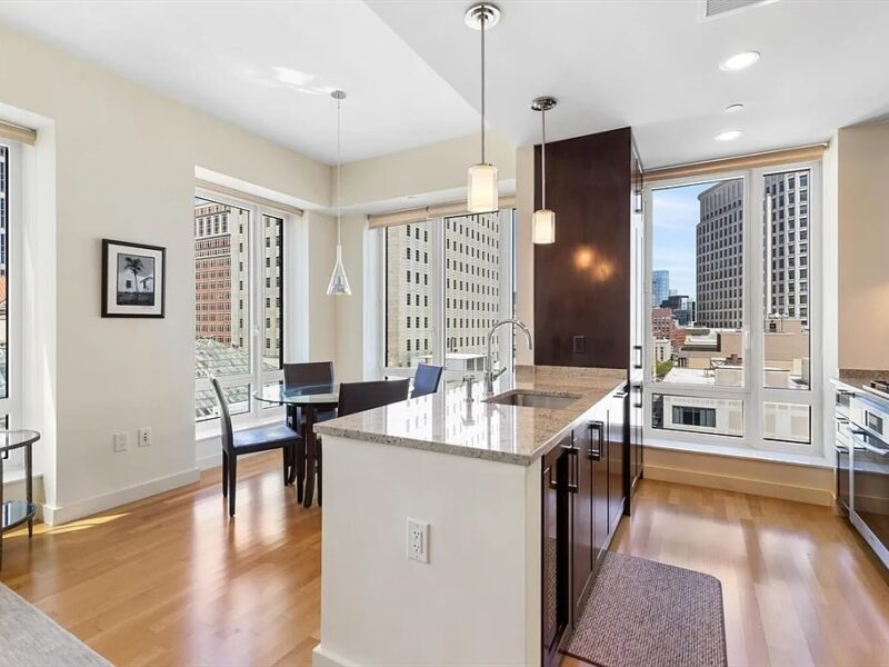 Furnished front-facing corner unit in Boston MA