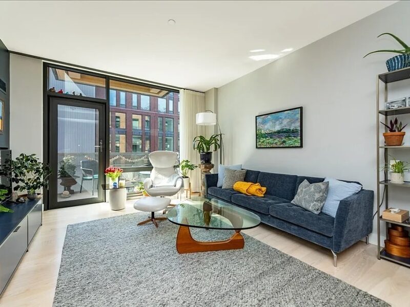 South facing 1 BR in Boston