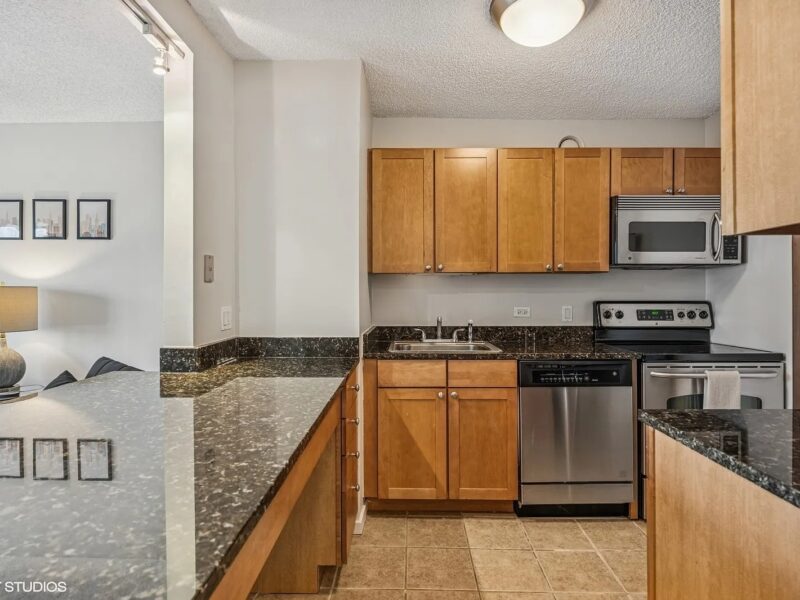Furnished one-bedroom, one-bath condo in chicago